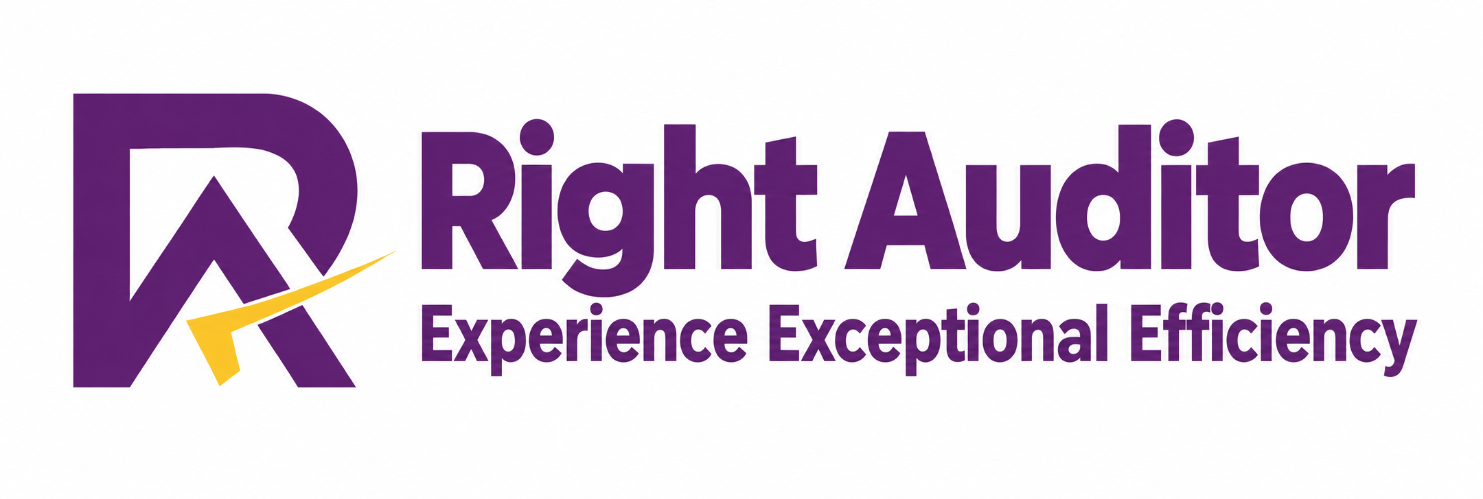 Right Auditor — Experience Exceptional Efficiency