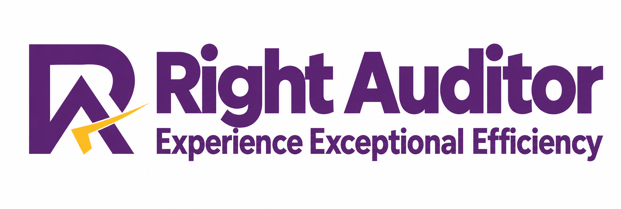 Right Auditor — Experience Exceptional Efficiency